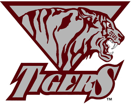 Texas Southern Tigers 2000-2008 Primary Logo DIY iron on transfer (heat transfer)